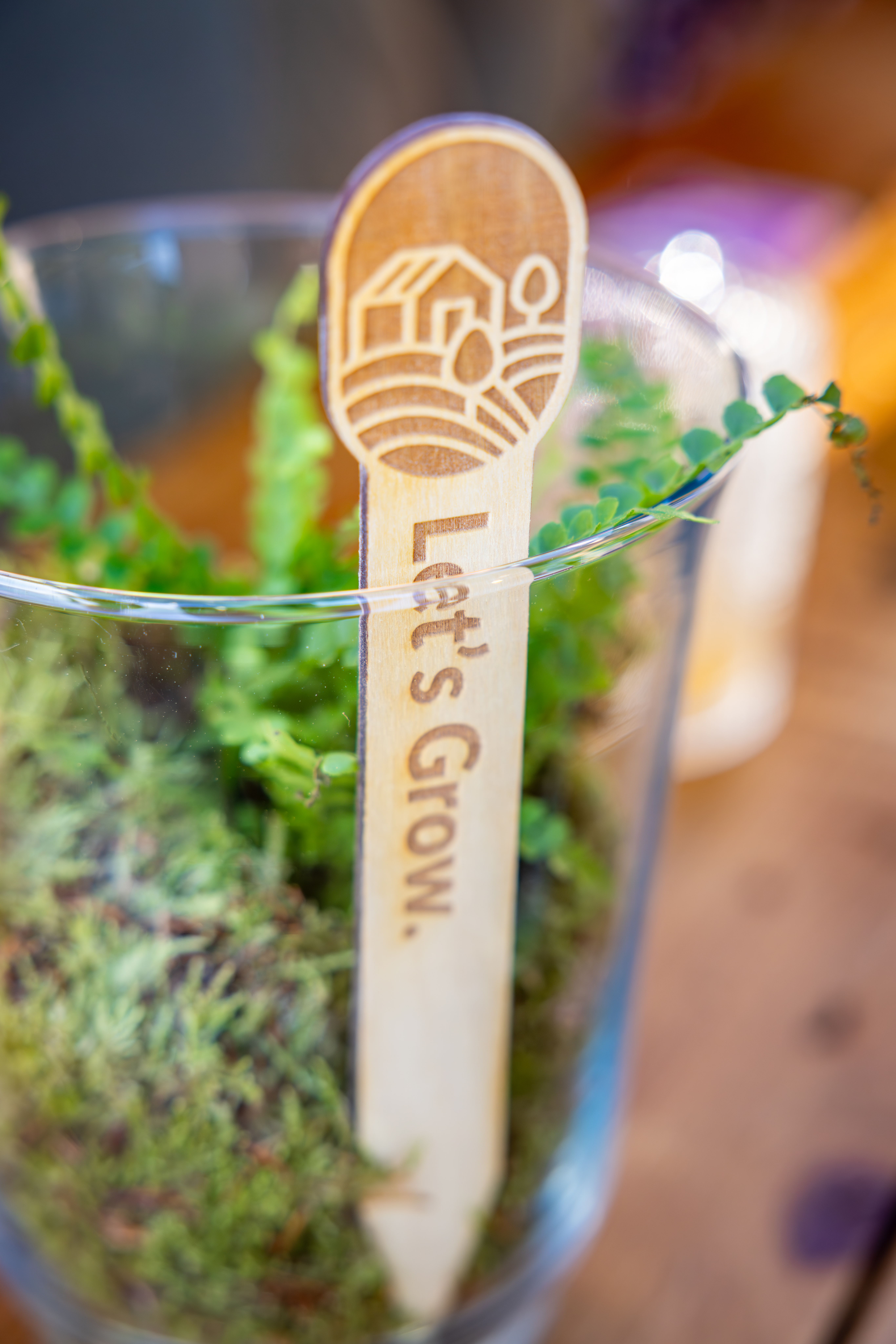 Let's Grow - Celebrating Five years at Priory Law